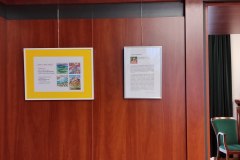 IMG_20250217_111958